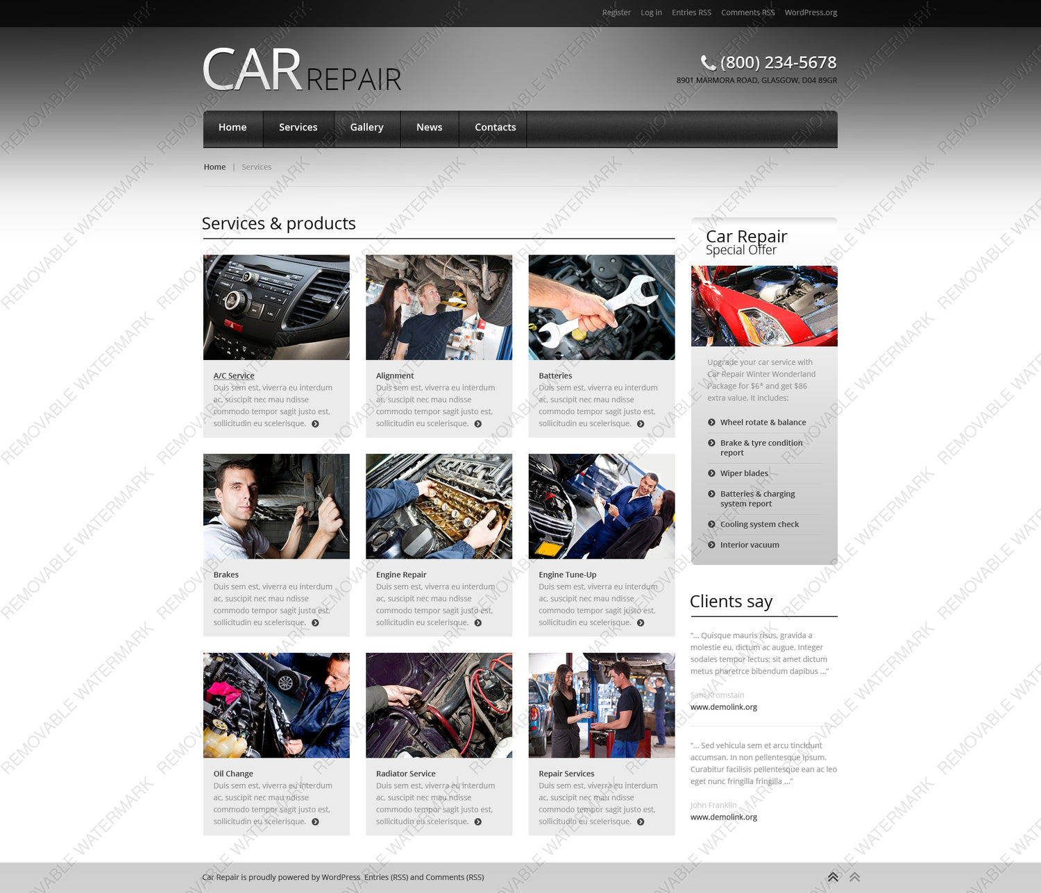 WordPress Themes - GoWebBaby.Com