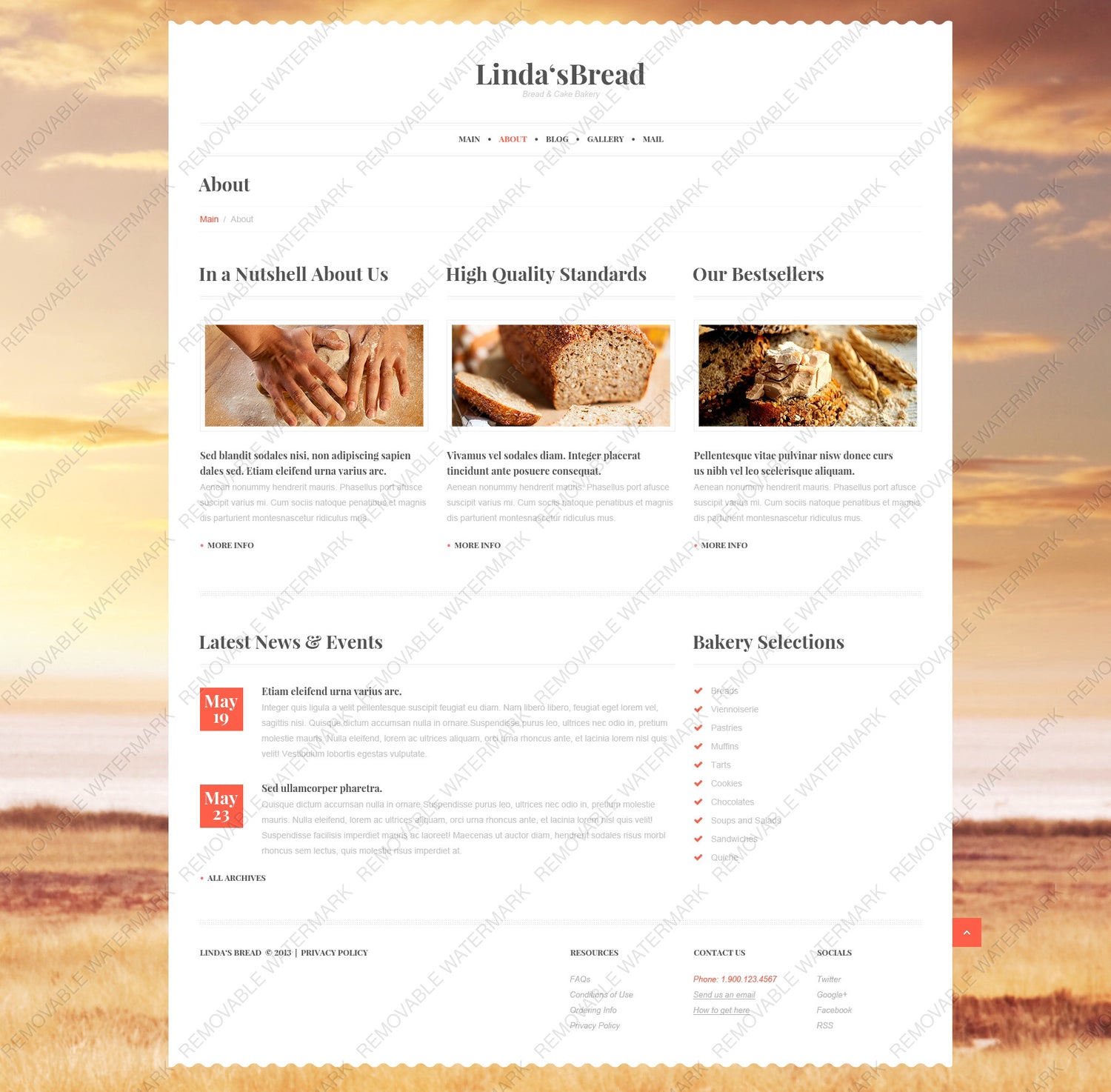 WordPress Themes - GoWebBaby.Com