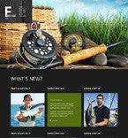 WordPress Themes - GoWebBaby.Com