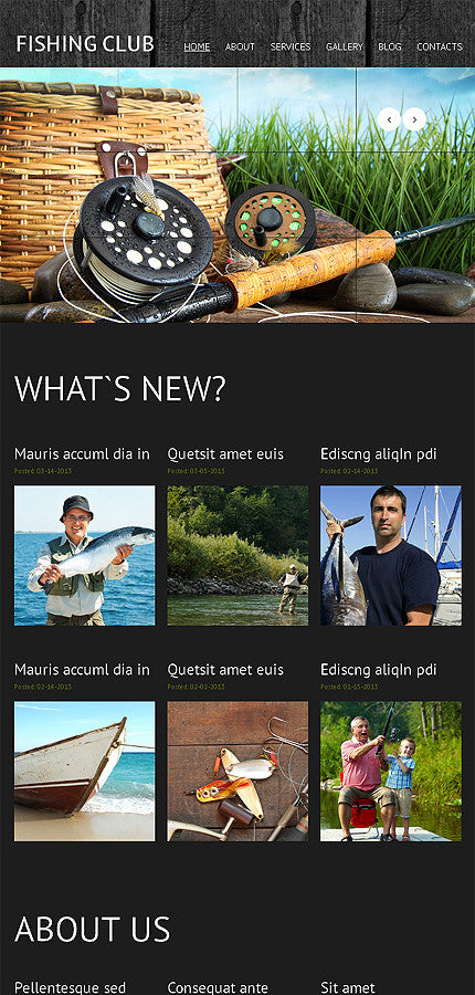 WordPress Themes - GoWebBaby.Com