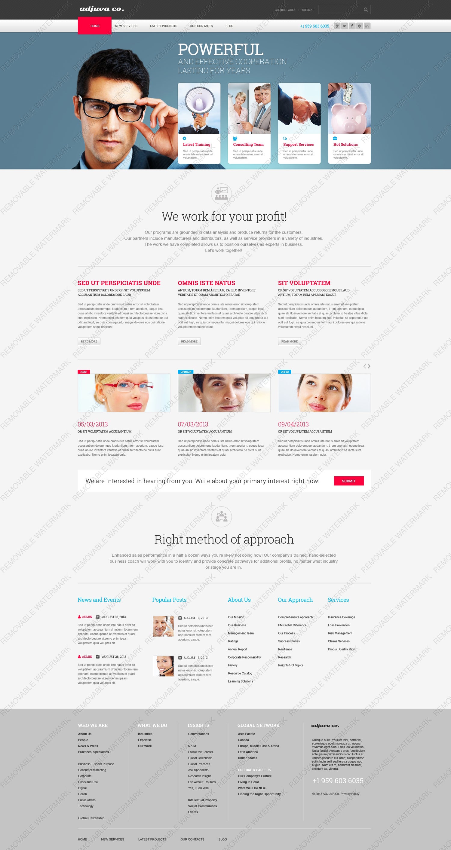 WordPress Themes - GoWebBaby.Com