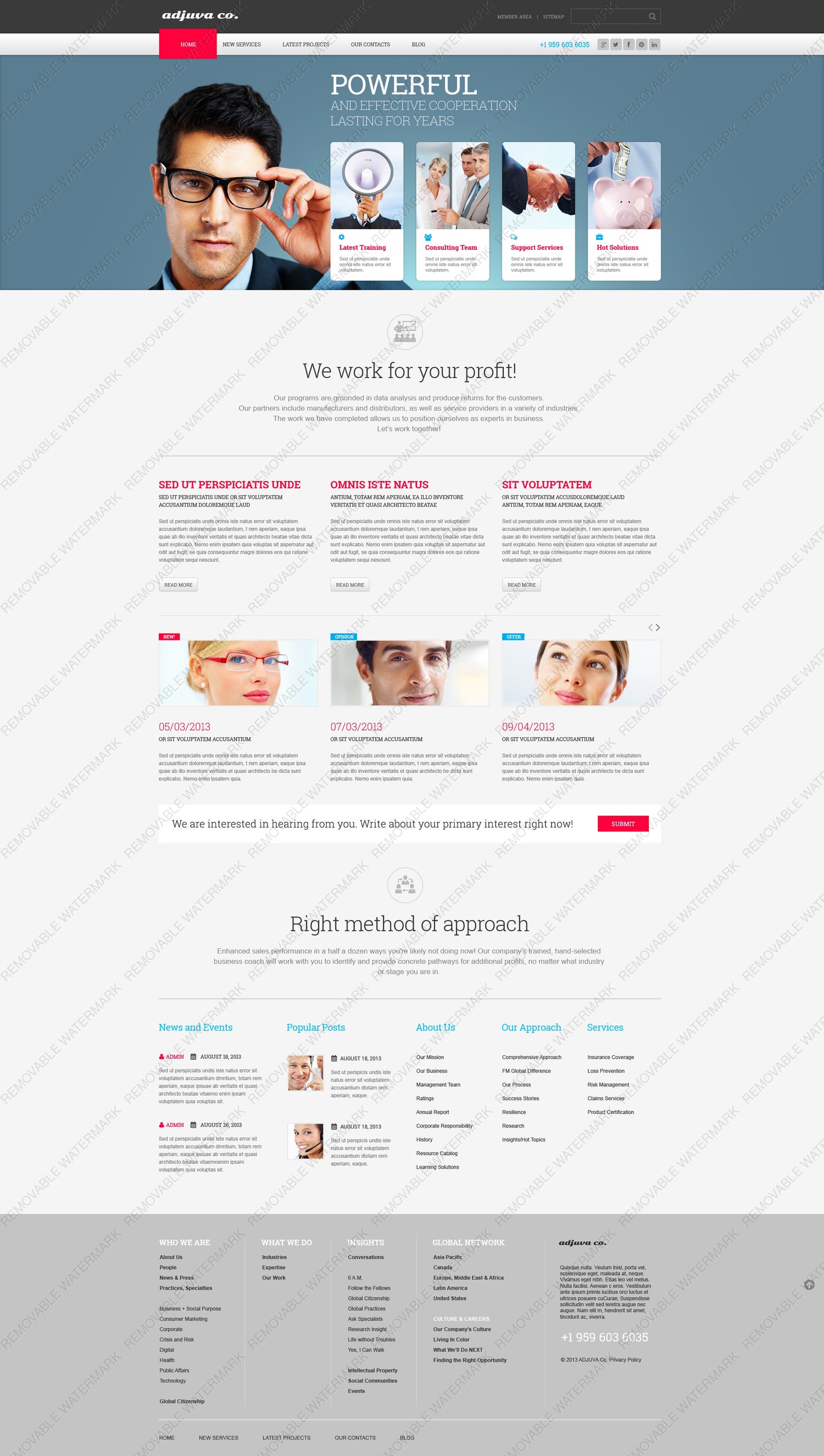 WordPress Themes - GoWebBaby.Com