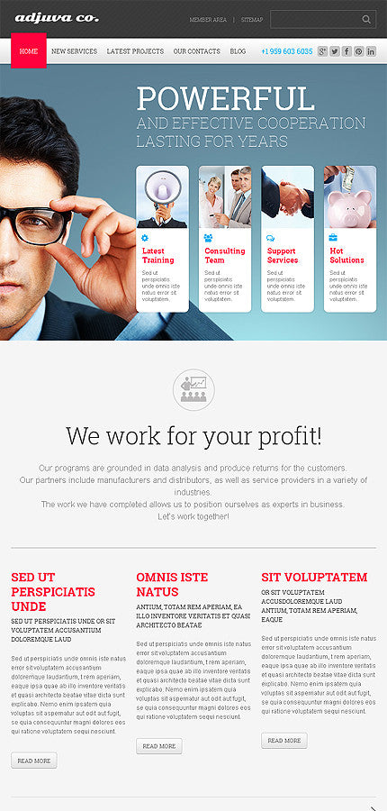 WordPress Themes - GoWebBaby.Com