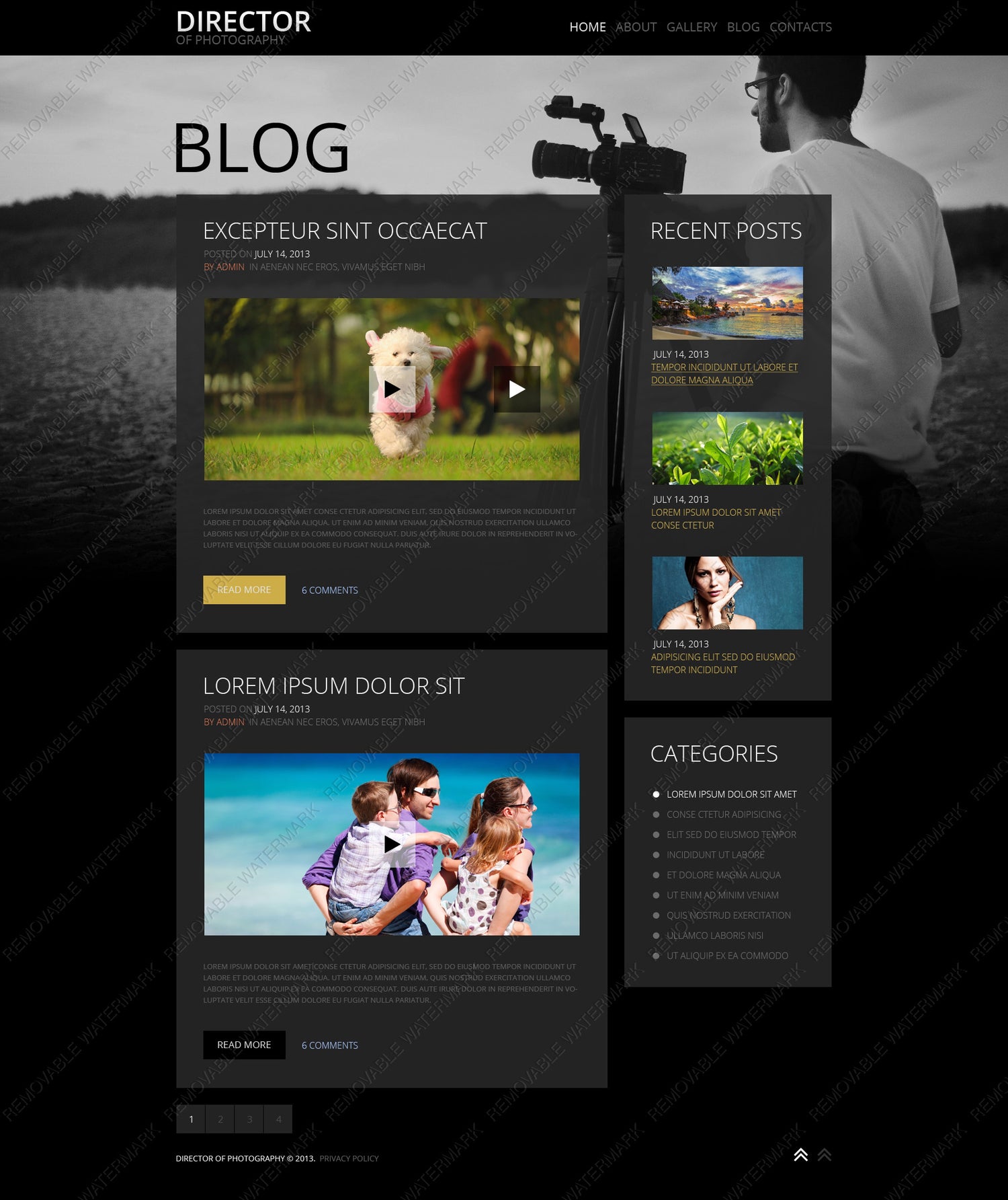 WordPress Themes - GoWebBaby.Com