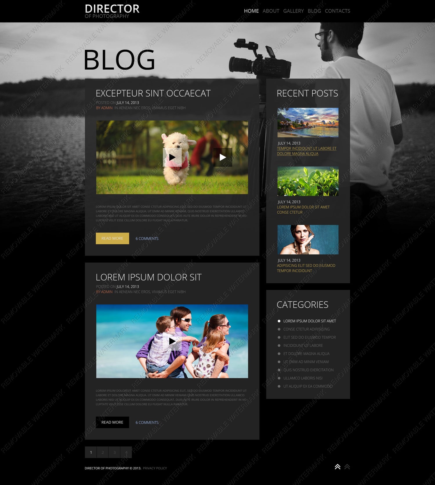 WordPress Themes - GoWebBaby.Com