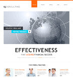 WordPress Themes - GoWebBaby.Com