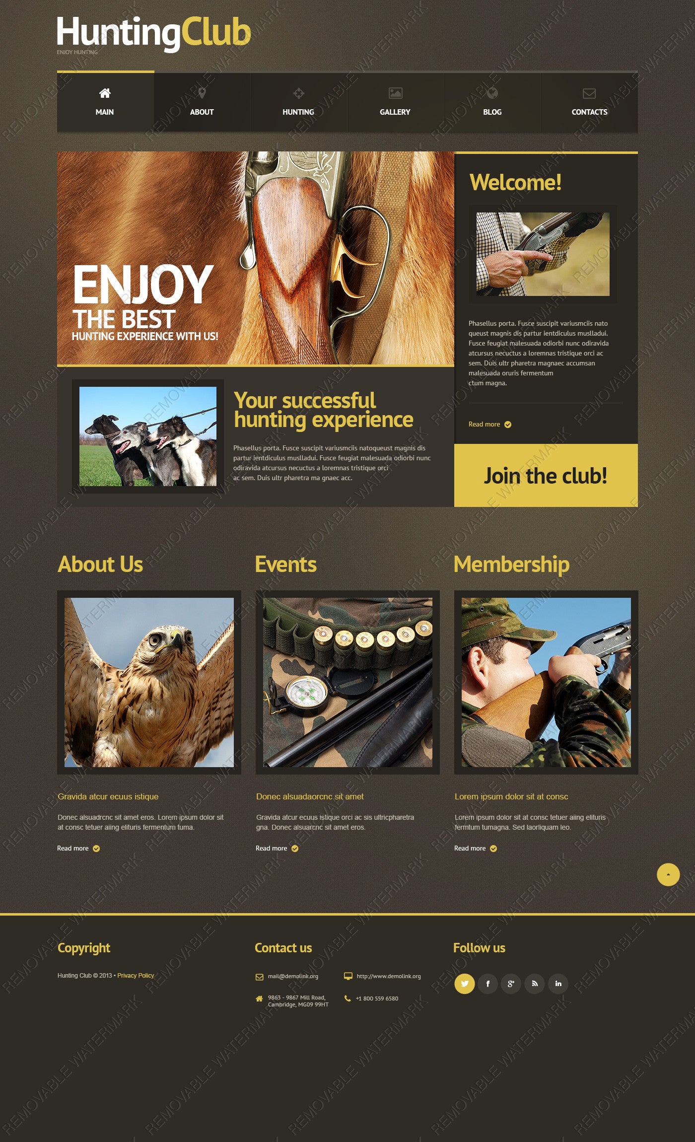 WordPress Themes - GoWebBaby.Com
