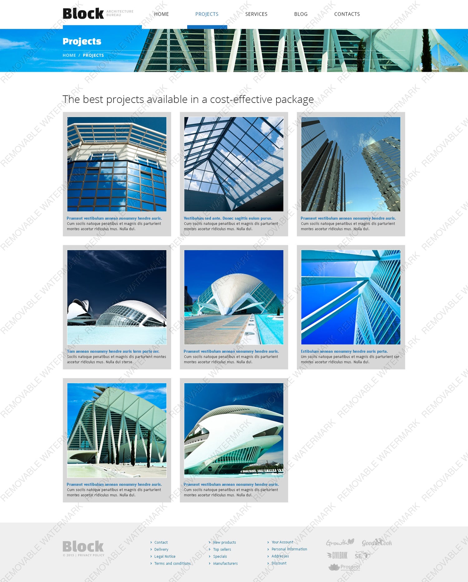 WordPress Themes - GoWebBaby.Com