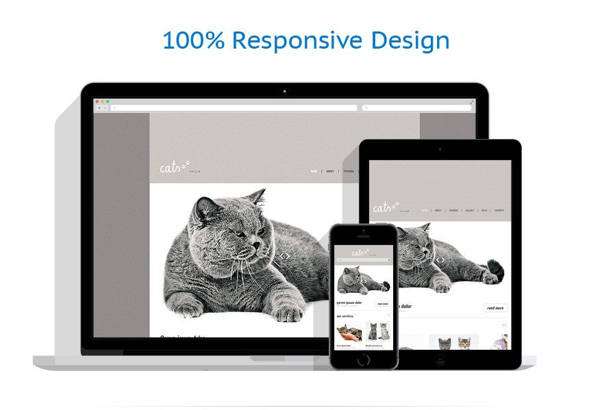 WordPress Themes - GoWebBaby.Com