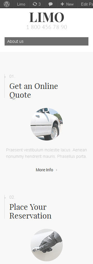 WordPress Themes - GoWebBaby.Com