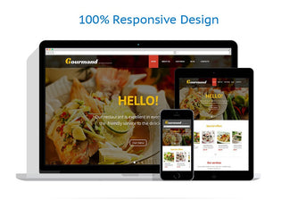 WordPress Themes - GoWebBaby.Com
