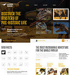 WordPress Themes - GoWebBaby.Com