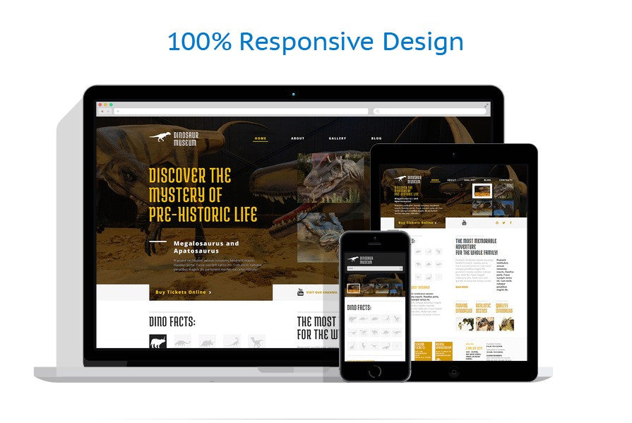 WordPress Themes - GoWebBaby.Com