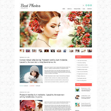 WordPress Themes - GoWebBaby.Com