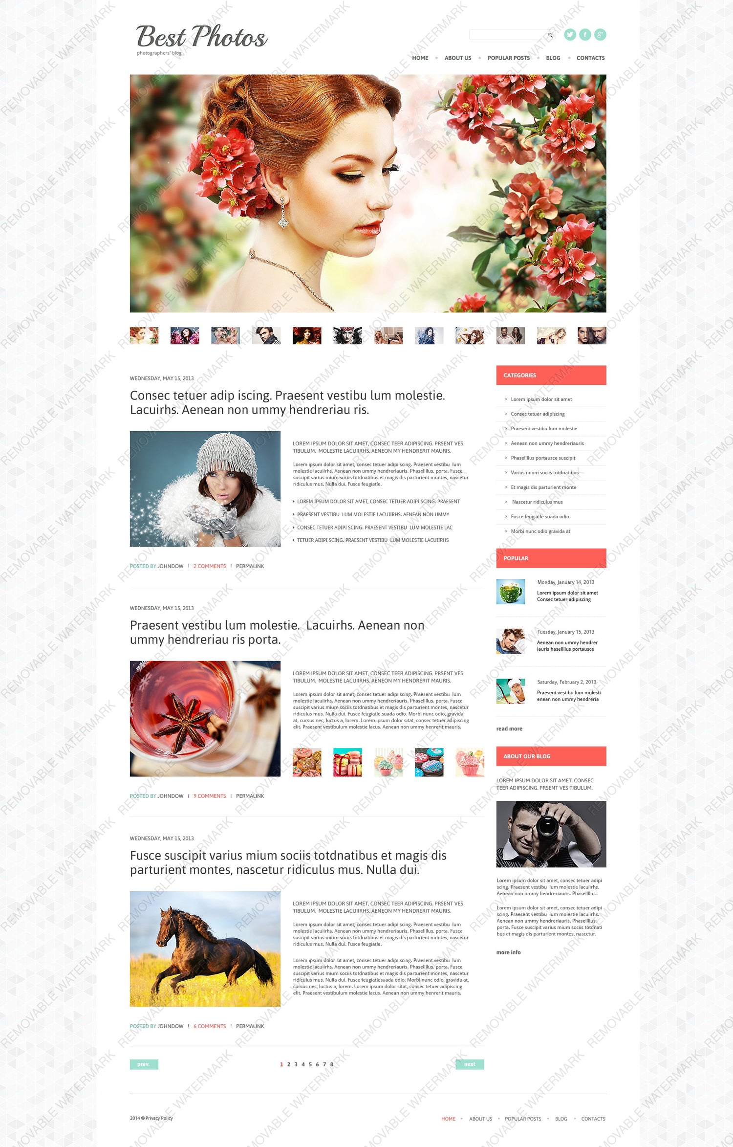 WordPress Themes - GoWebBaby.Com