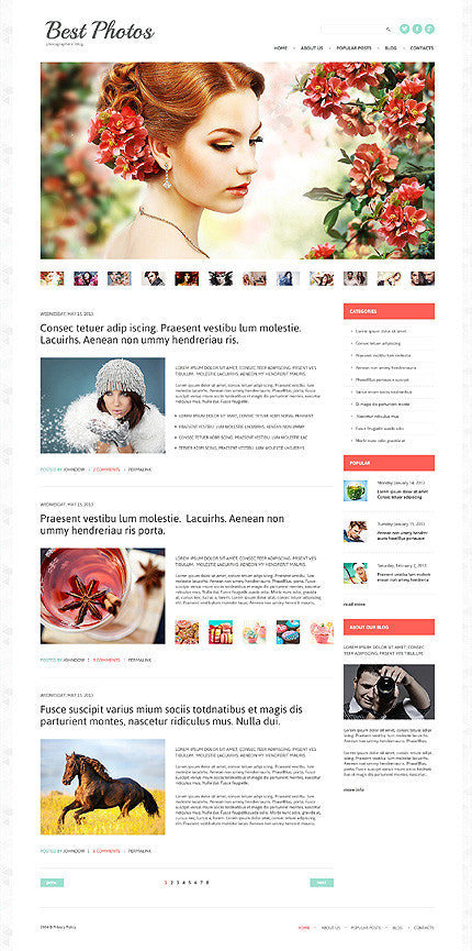 WordPress Themes - GoWebBaby.Com