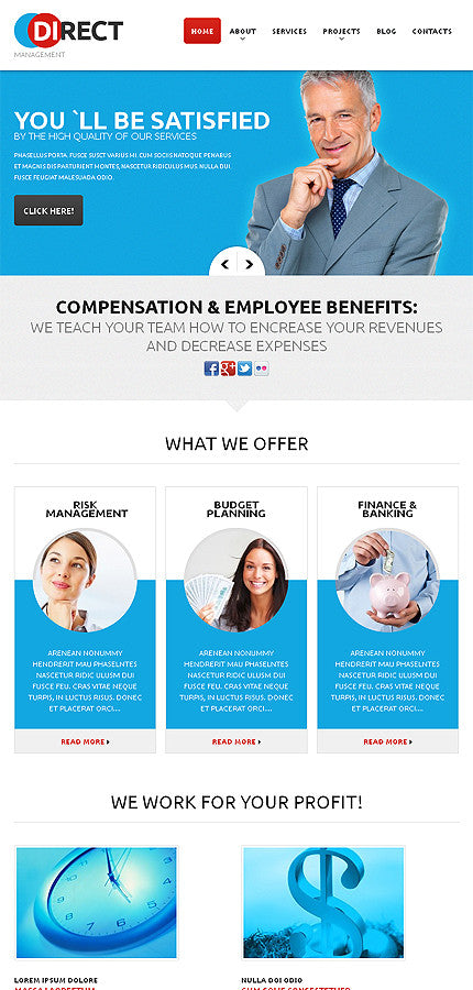 WordPress Themes - GoWebBaby.Com