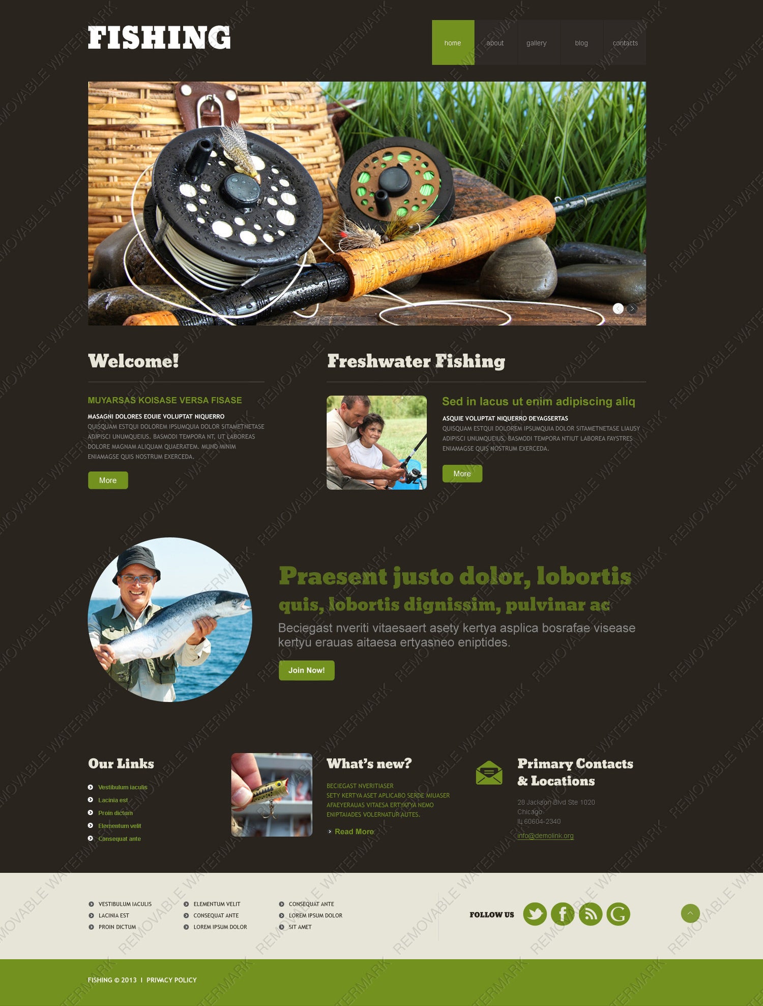 WordPress Themes - GoWebBaby.Com