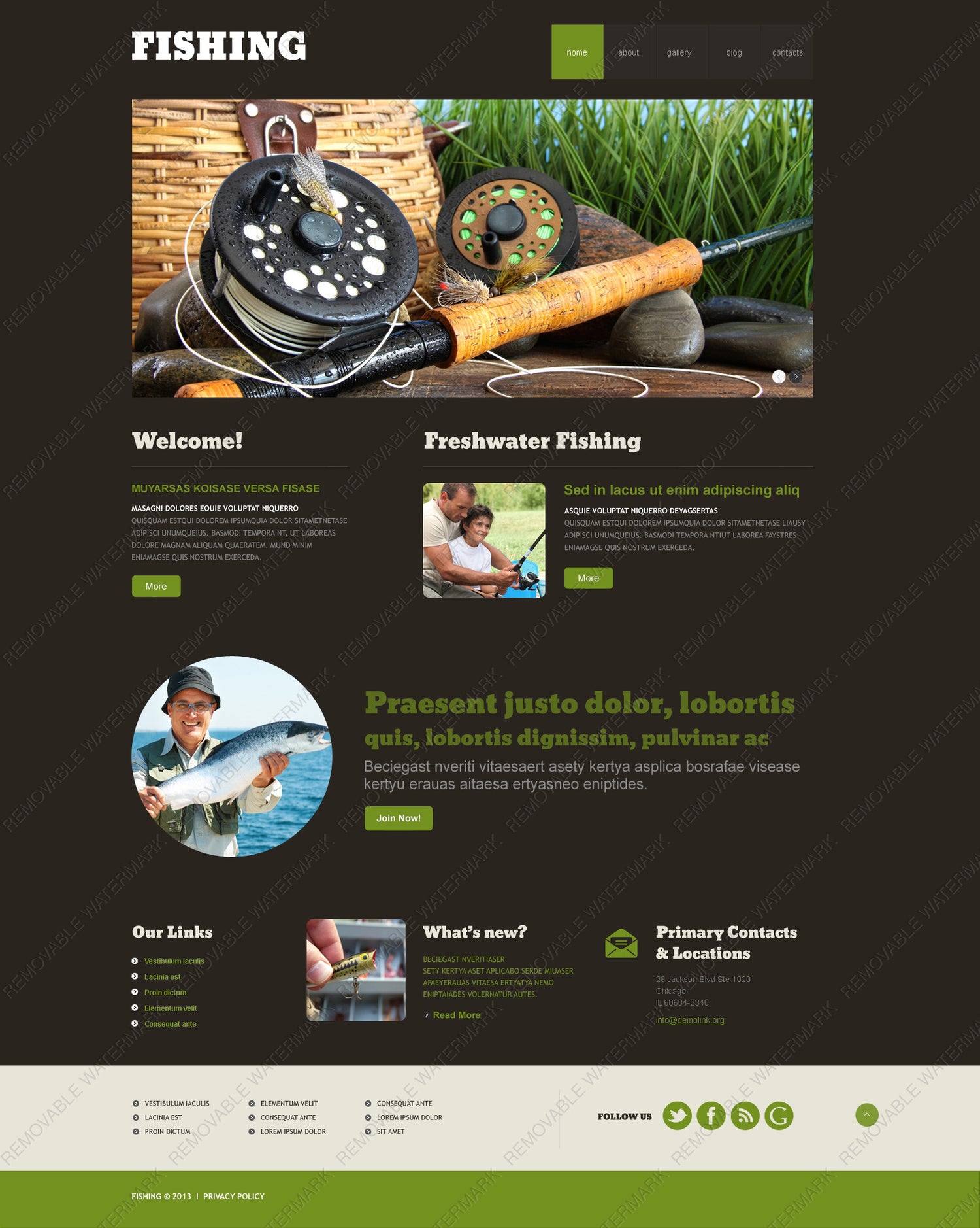 WordPress Themes - GoWebBaby.Com