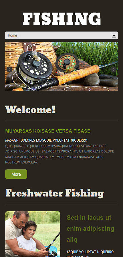 WordPress Themes - GoWebBaby.Com