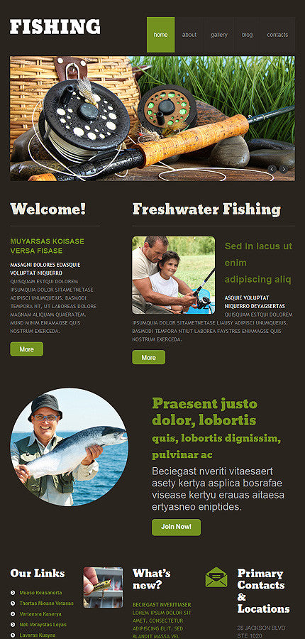 WordPress Themes - GoWebBaby.Com