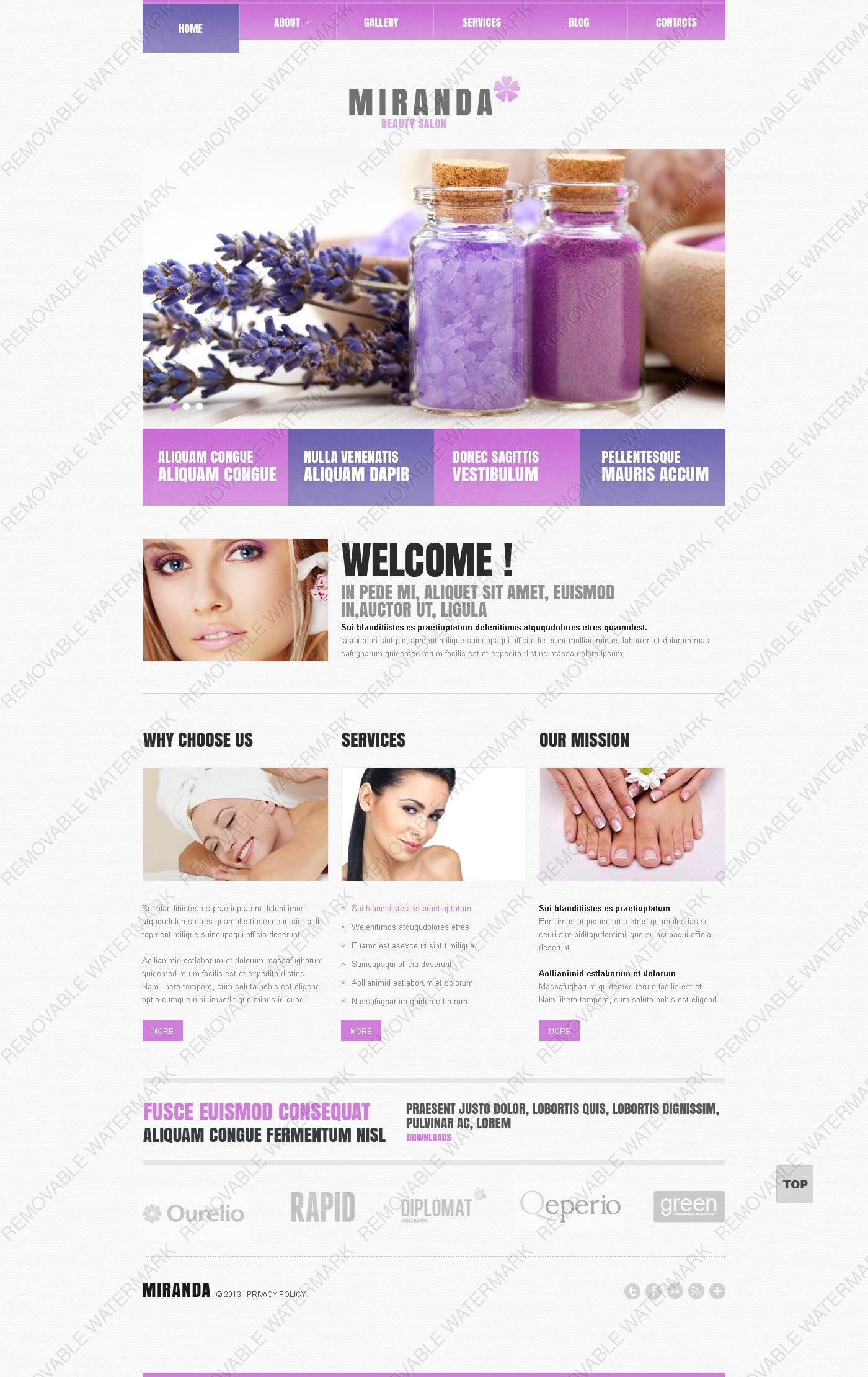 WordPress Themes - GoWebBaby.Com