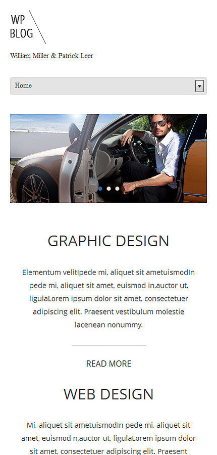 WordPress Themes - GoWebBaby.Com