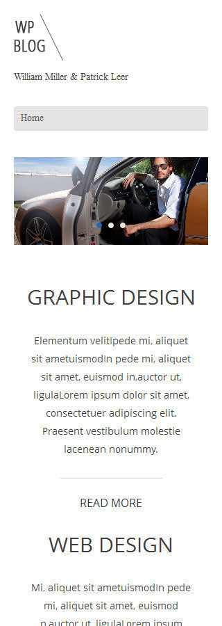 WordPress Themes - GoWebBaby.Com