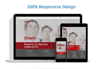 WordPress Themes - GoWebBaby.Com