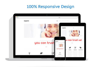 WordPress Themes - GoWebBaby.Com
