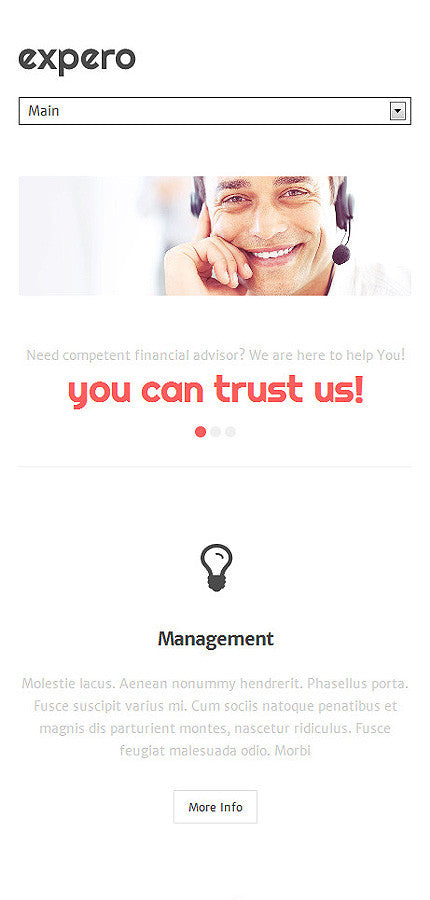 WordPress Themes - GoWebBaby.Com