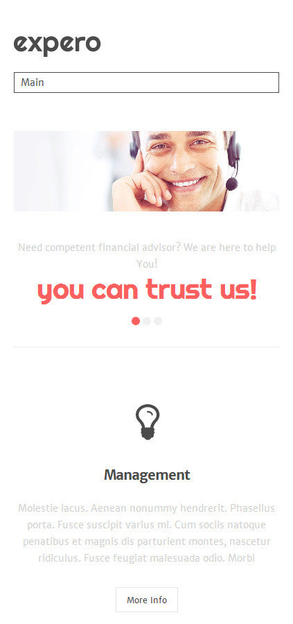 WordPress Themes - GoWebBaby.Com