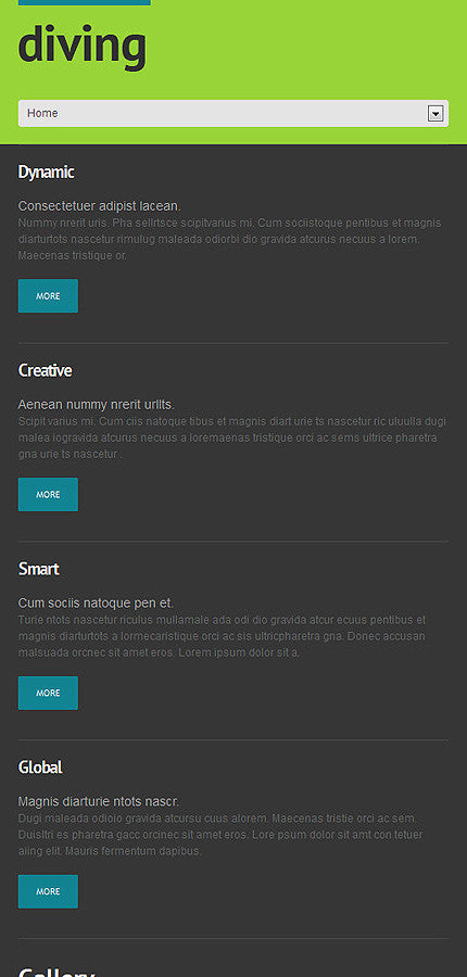 WordPress Themes - GoWebBaby.Com