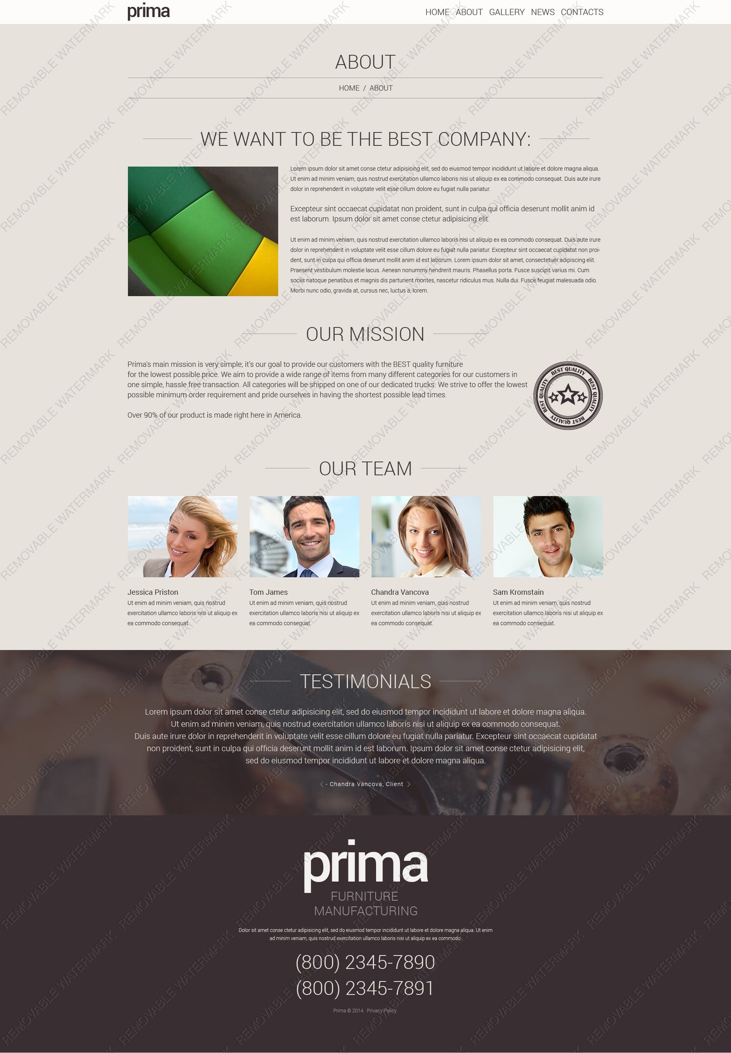 WordPress Themes - GoWebBaby.Com
