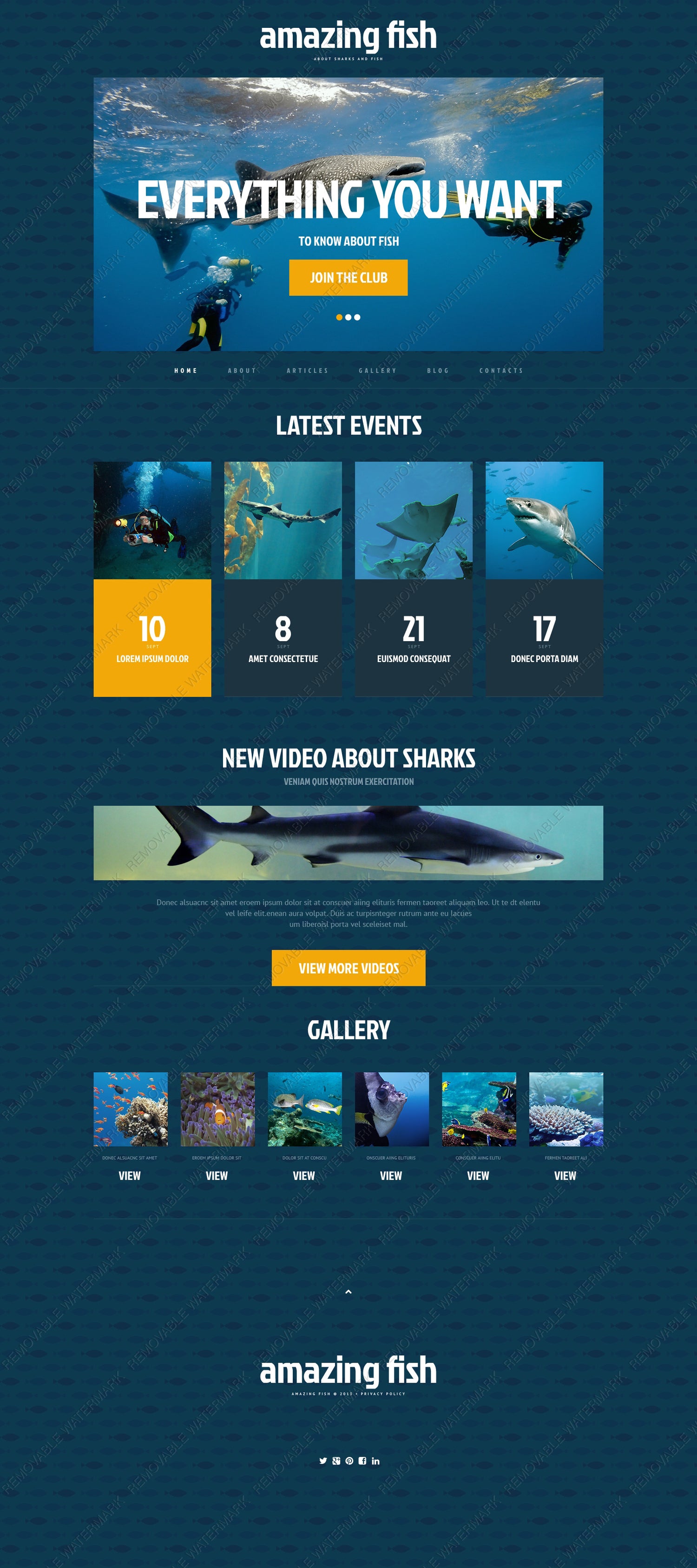 WordPress Themes - GoWebBaby.Com