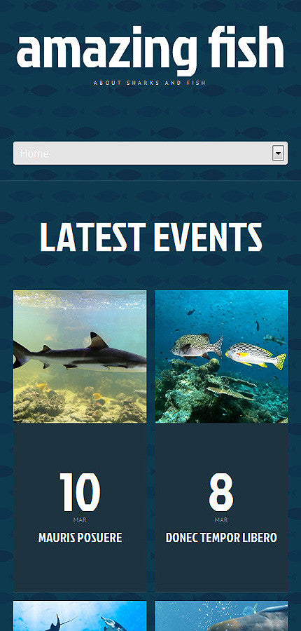 WordPress Themes - GoWebBaby.Com
