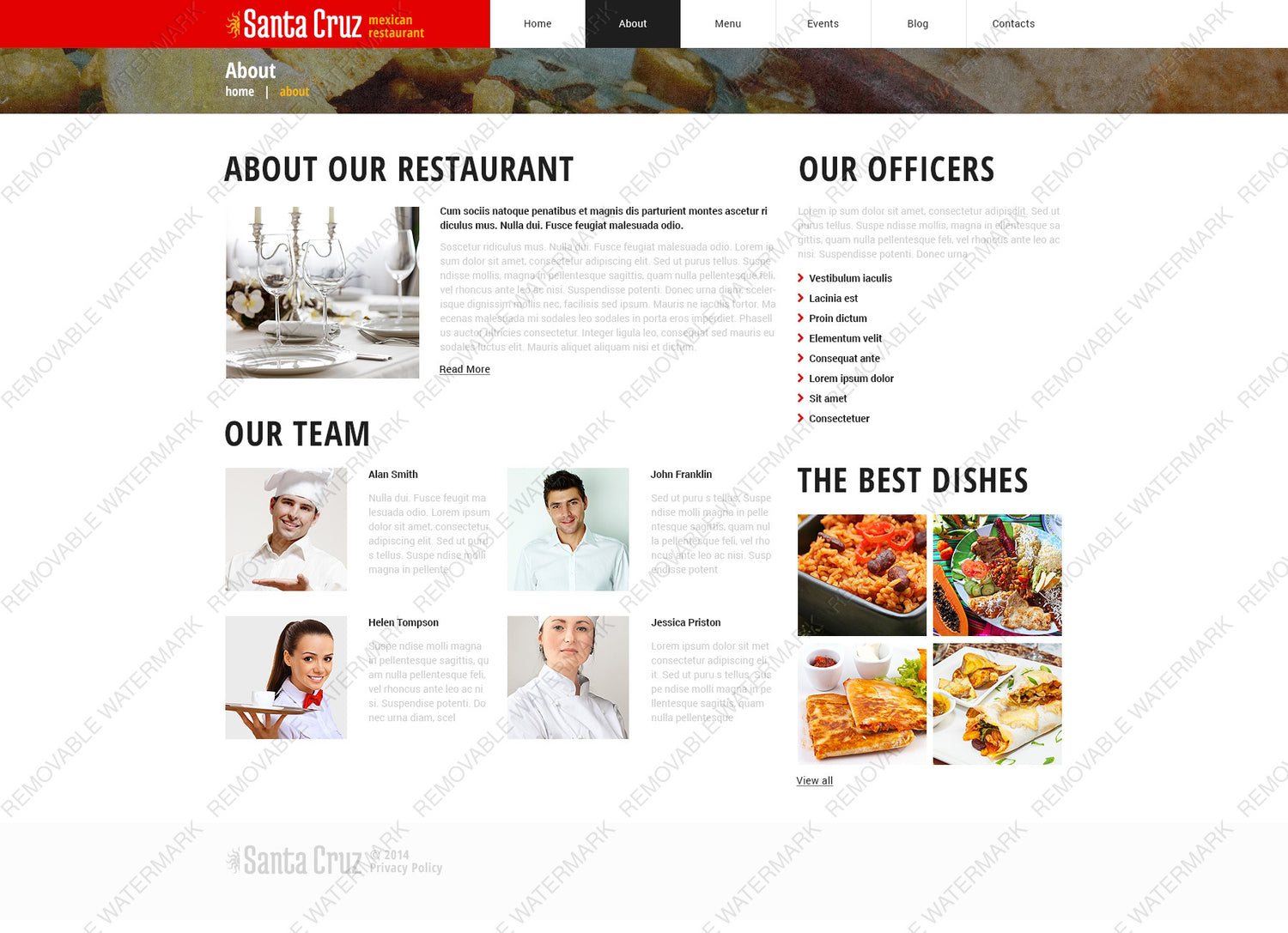 WordPress Themes - GoWebBaby.Com
