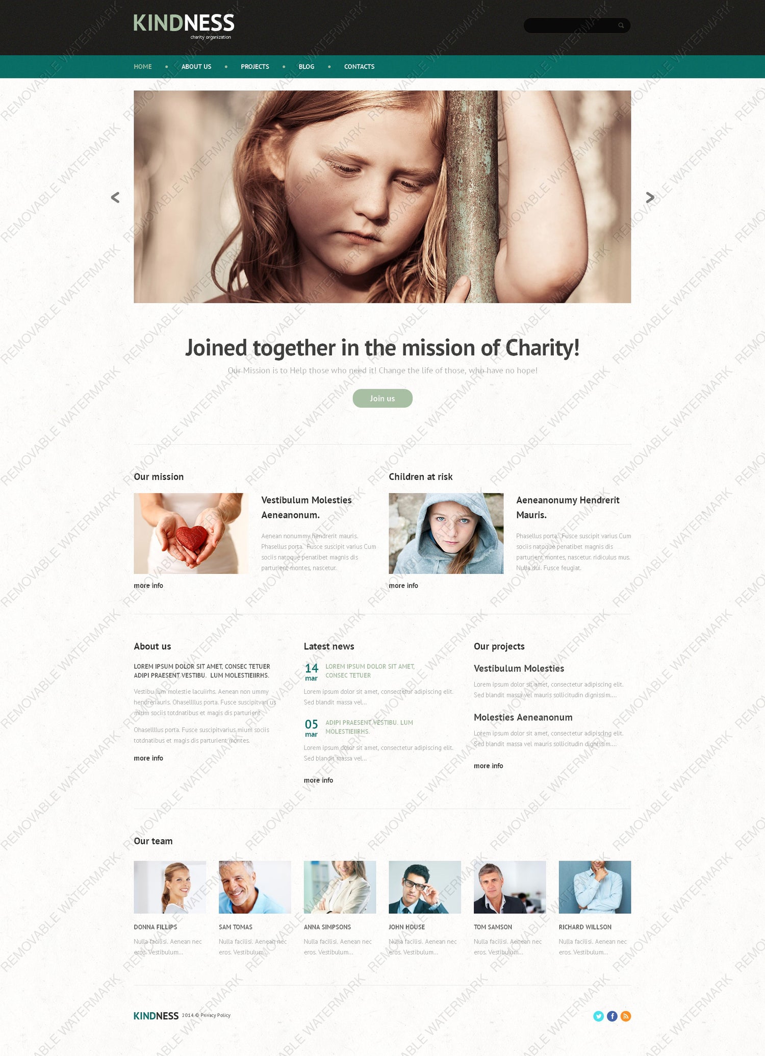 WordPress Themes - GoWebBaby.Com