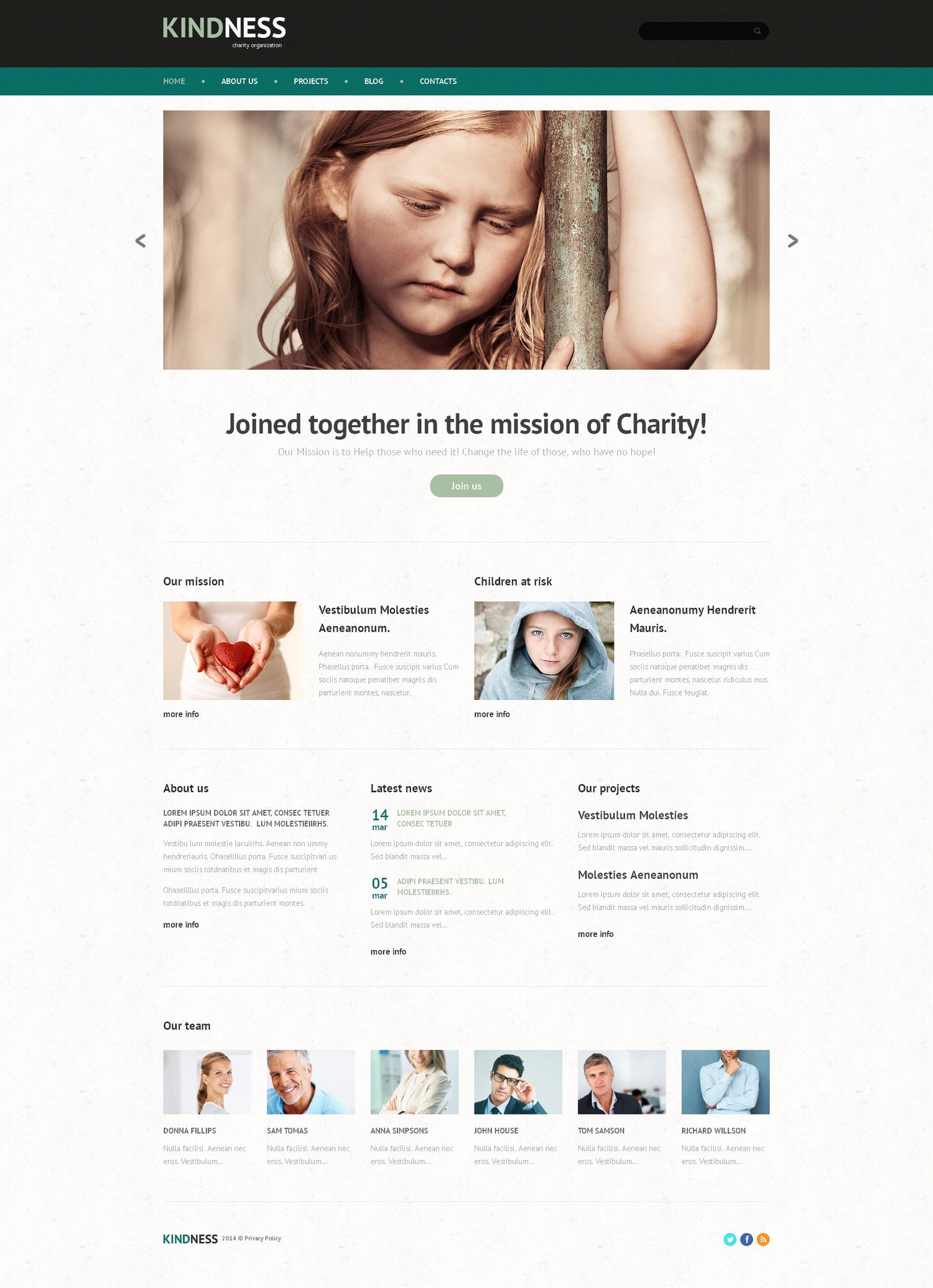 WordPress Themes - GoWebBaby.Com