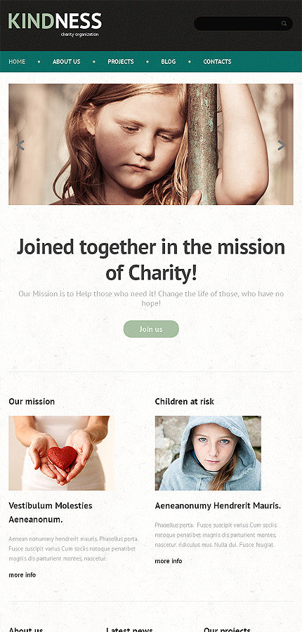 WordPress Themes - GoWebBaby.Com