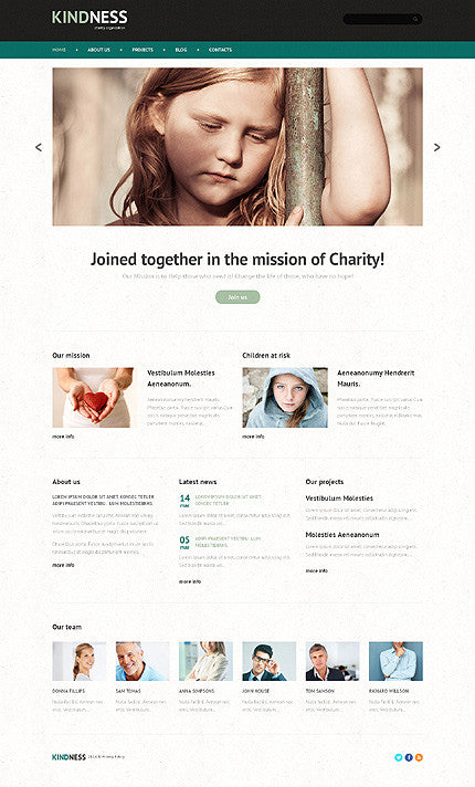 WordPress Themes - GoWebBaby.Com