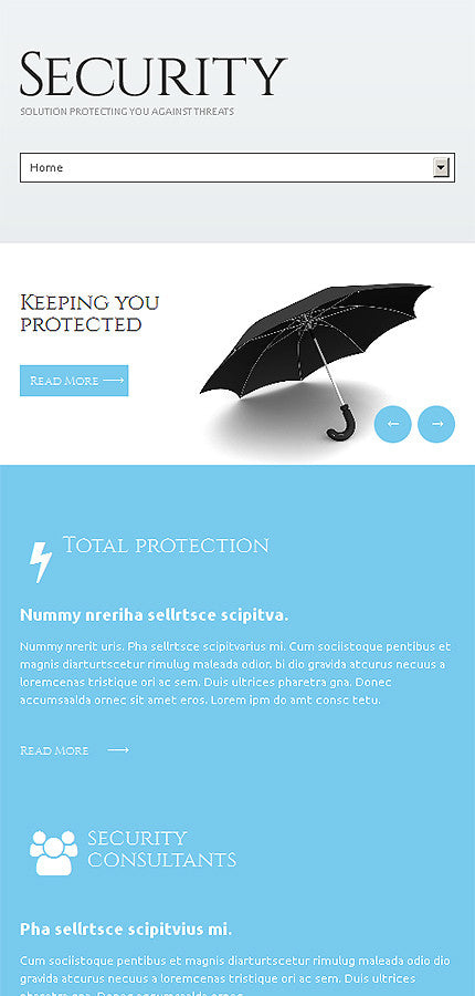 WordPress Themes - GoWebBaby.Com