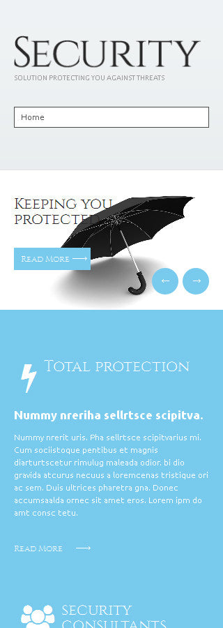 WordPress Themes - GoWebBaby.Com
