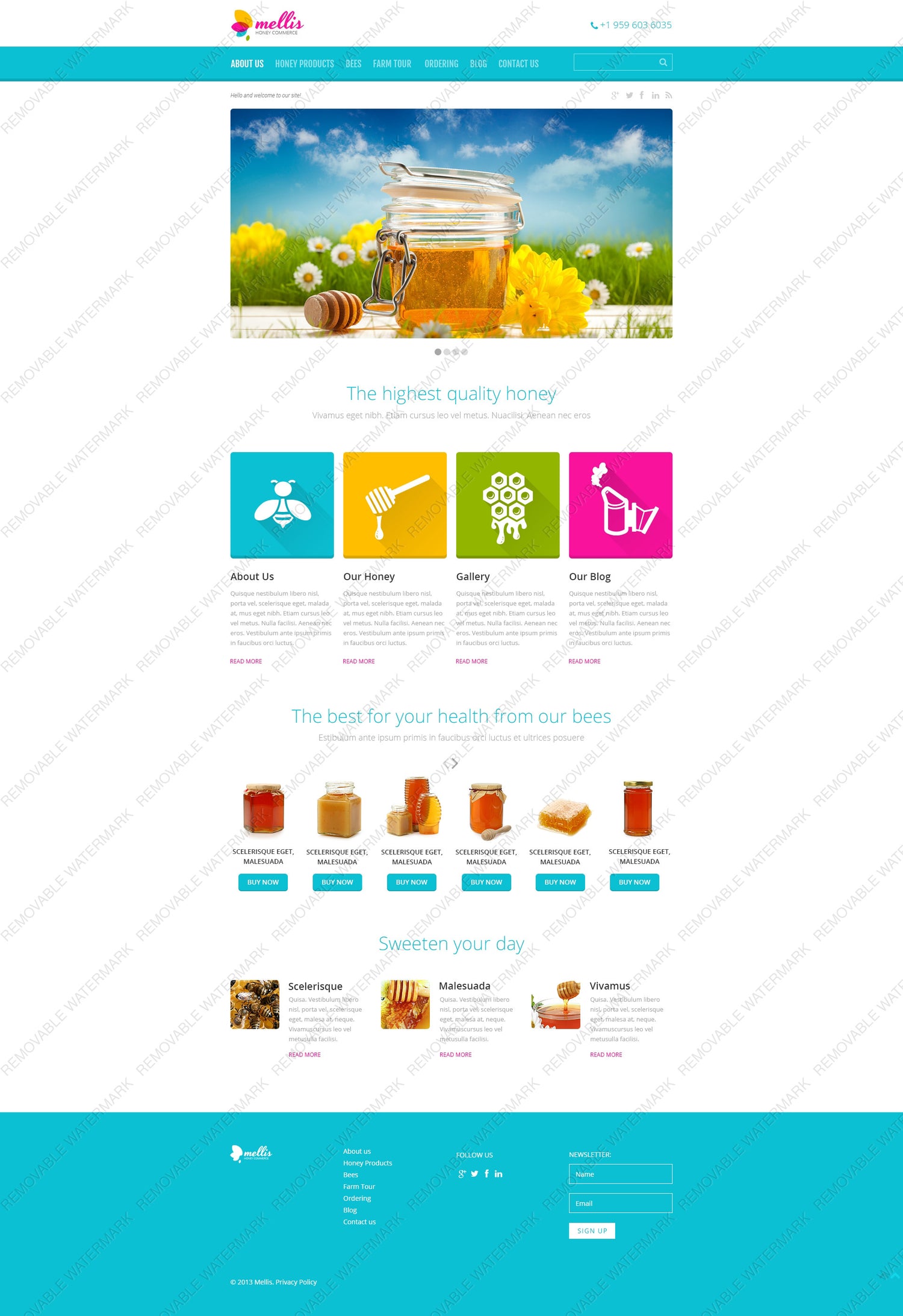 WordPress Themes - GoWebBaby.Com