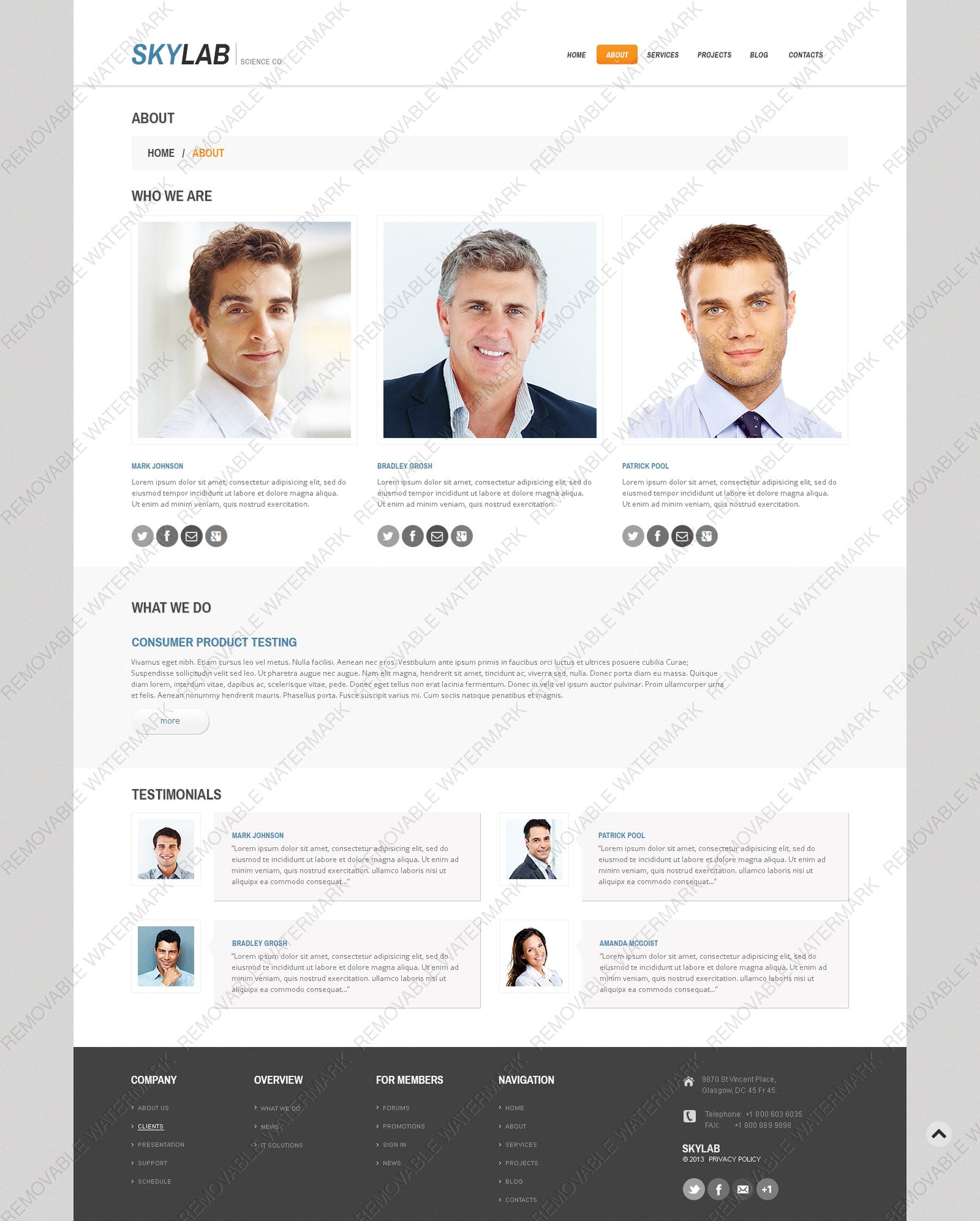 WordPress Themes - GoWebBaby.Com