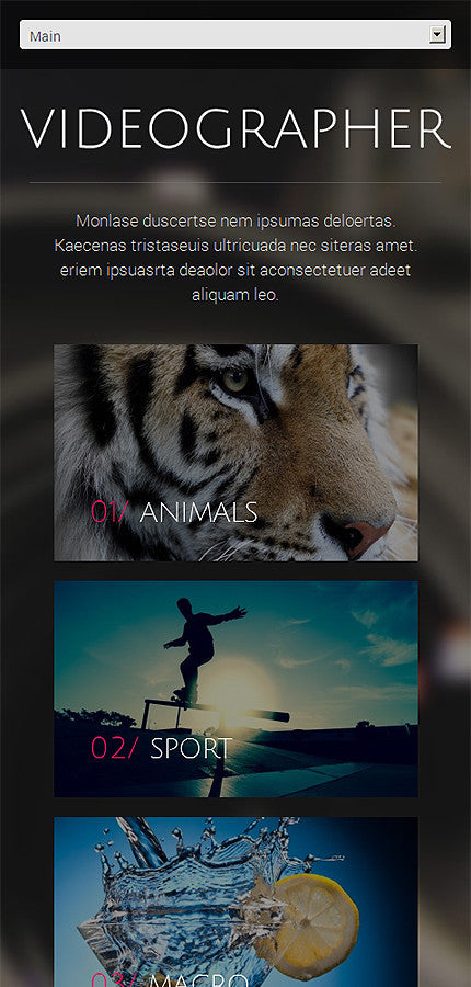 WordPress Themes - GoWebBaby.Com
