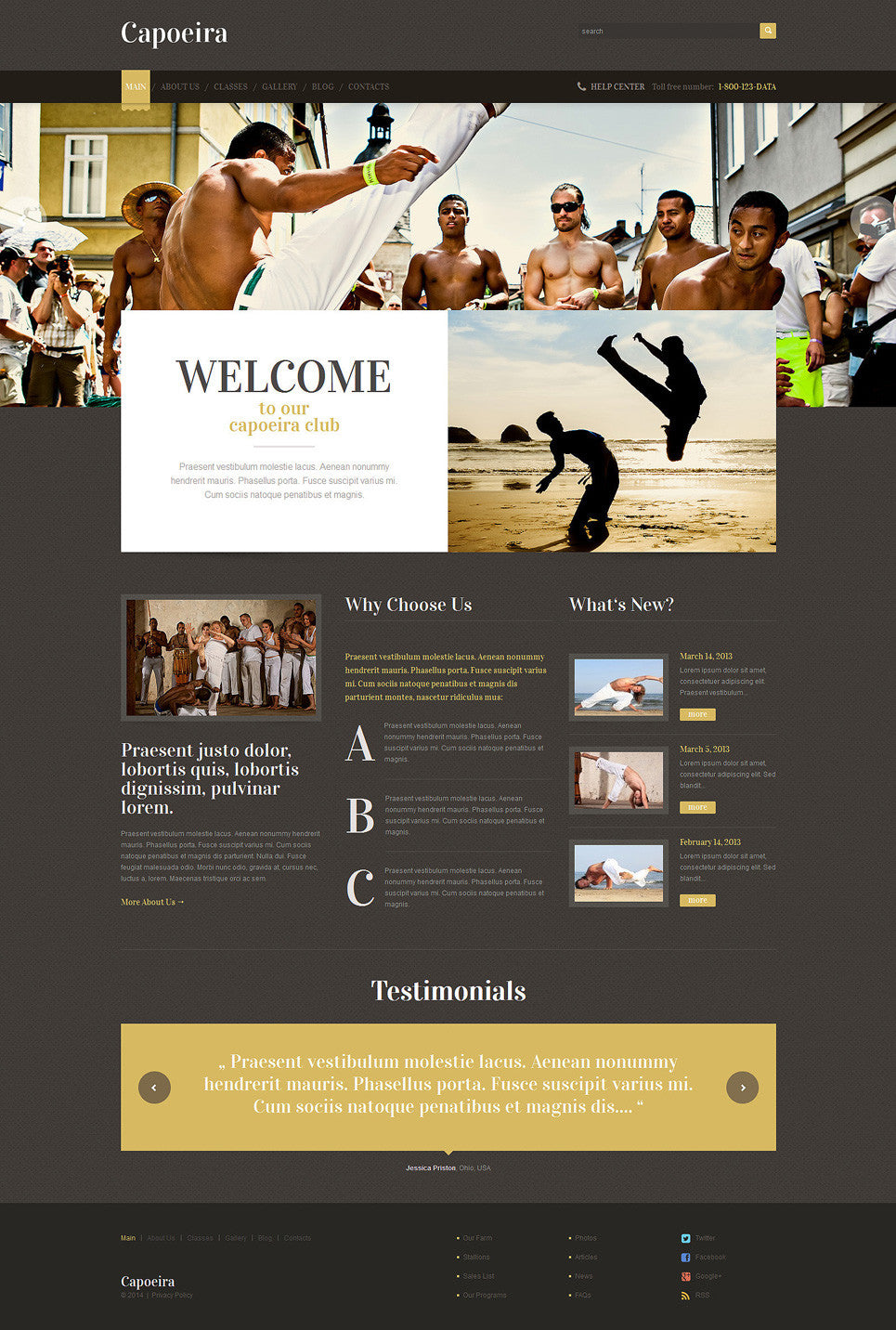 WordPress Themes - GoWebBaby.Com