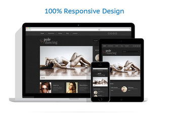 WordPress Themes - GoWebBaby.Com