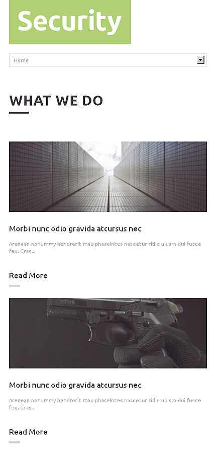 WordPress Themes - GoWebBaby.Com