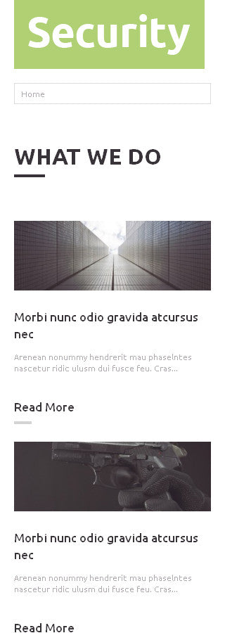 WordPress Themes - GoWebBaby.Com